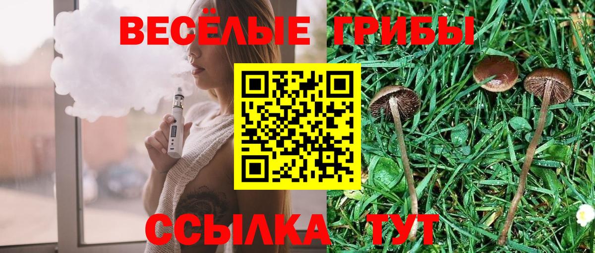 Галлюциногенные грибы GOLDEN TEACHER Донецк